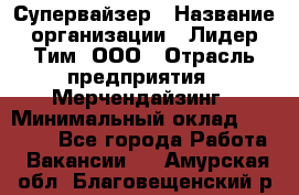 Супервайзер › Название организации ­ Лидер Тим, ООО › Отрасль предприятия ­ Мерчендайзинг › Минимальный оклад ­ 35 000 - Все города Работа » Вакансии   . Амурская обл.,Благовещенский р-н